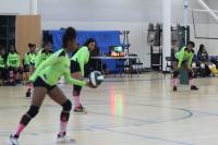 Volleyball Volleyball